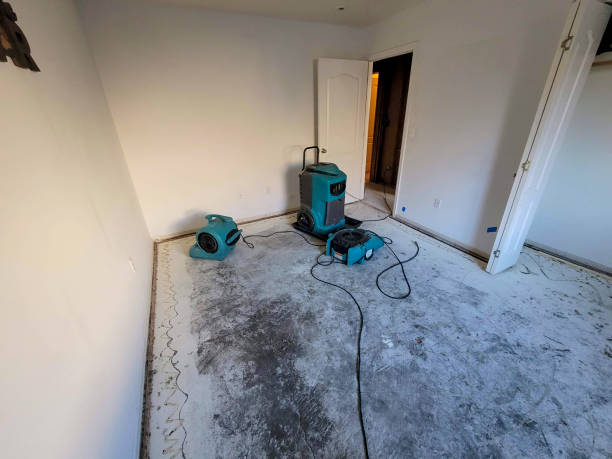 Best Residential water damage restoration  in Dudley, NC