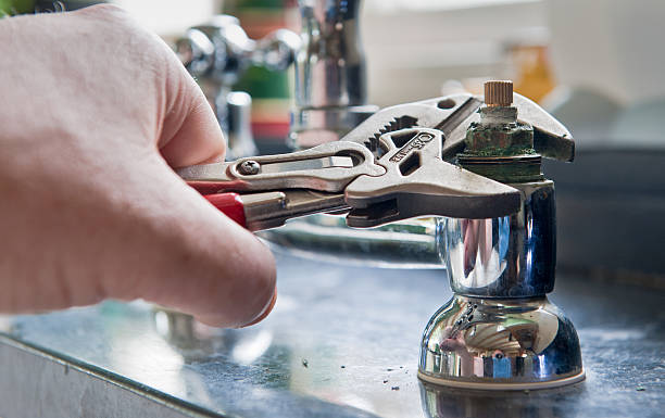 Best Water damage cleanup near me  in Dudley, NC
