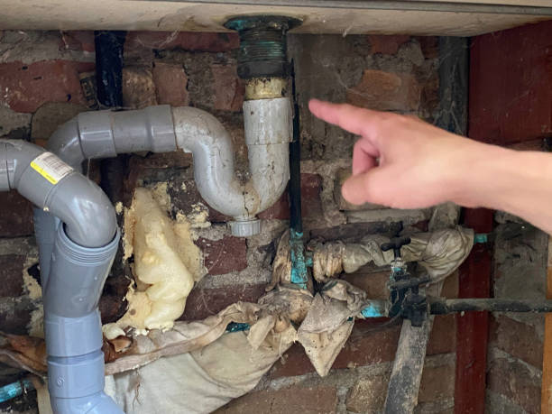 Best Residential water damage restoration  in Dudley, NC