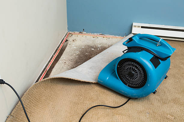 Best Flood restoration services  in Dudley, NC